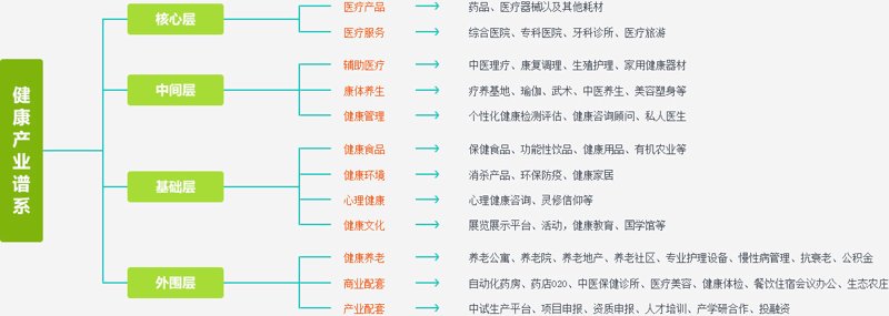 工具推荐类:全面解析智能手环与运动APP,帮你找到最适合的健康管理伙伴